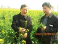 黑水虻科技苑，黑水虻养殖技术视频