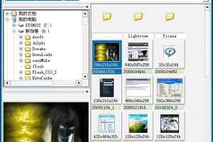 acdsee3.1中文版免费下载，acdsee3.1中文完美版