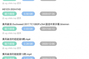 国际免流软件下载，国际上网免流