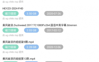 国际免流软件下载，国际上网免流