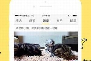 香蕉视频无限制破解版下载，香蕉视频无限制破解版下载安装