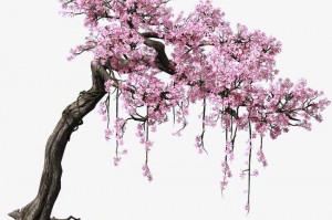场景树软件下载，场景树图片