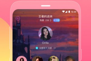 皮皮 下载，皮皮下载助手四川皮皮麻将血战到底