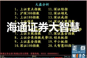 海通大智慧软件下载，海通大智慧软件下载官网