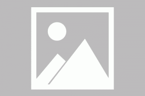三星kies中文版官方下载，三星kies中文版官方下载 深山红叶官网