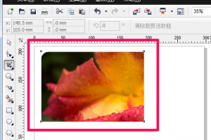 cdr14软件下载，cdr14下载 免费中文版