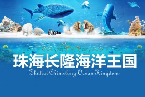 海上保卫战中文版，海上保卫战中文版下载安装