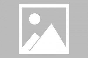 百度工具栏官方下载，百度工具栏官方下载 深山红叶官网